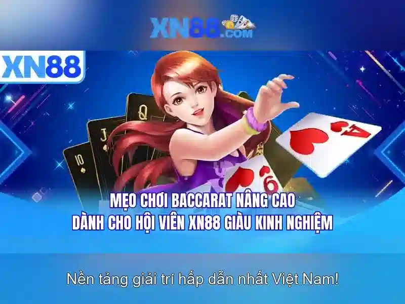 Ứng dụng và phổ biến của xn88