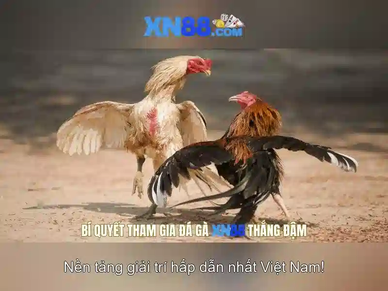 https://xn88app.it.com/images/text/xn88/xn88-text2603313872.webp Các trò chơi nổi bật