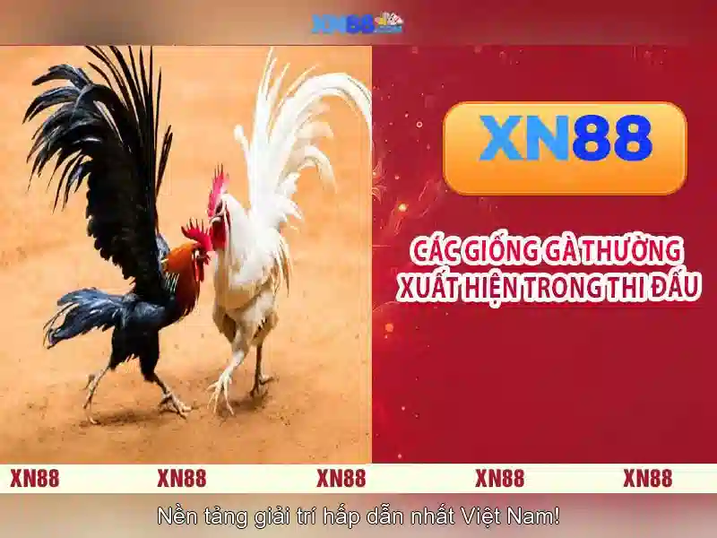 https://xn88app.it.com/images/text/xn88/xn88-text2603301656.webp Các yếu tố thành công\n\n