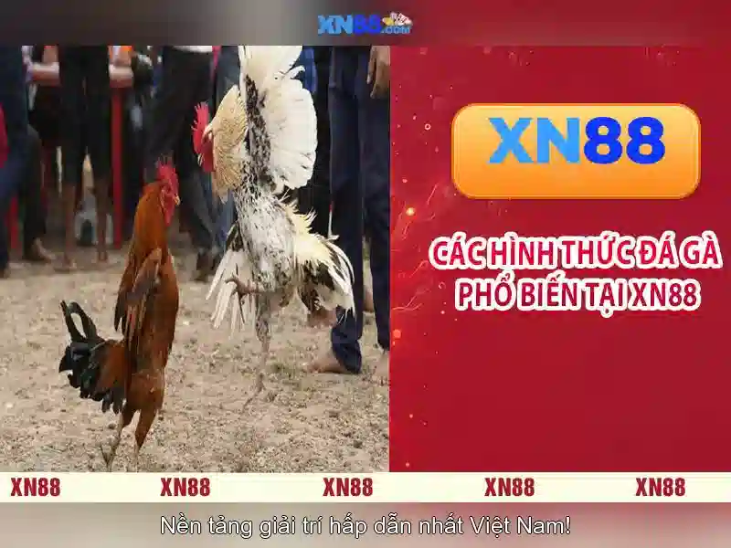 https://xn88app.it.com/images/text/xn88/xn88-text2603302066.webp Giới thiệu về xn88