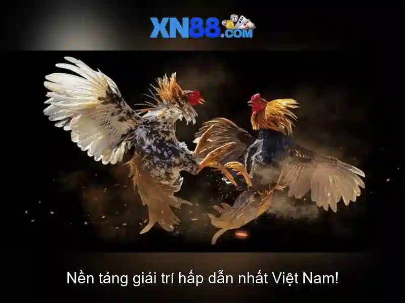 Giao diện nhà cái hoàn hảo
