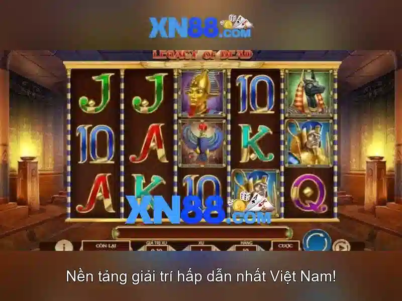 Nội dung và trò chơi có mặt