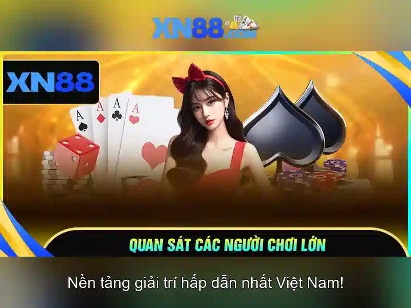 'Hướng dẫn tham gia và rút tiền'