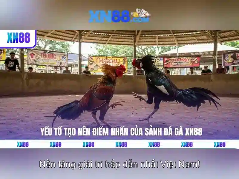 https://xn88app.it.com/images/text/xn88/xn88-text2603301694.webp An toàn và bảo mật\n\n