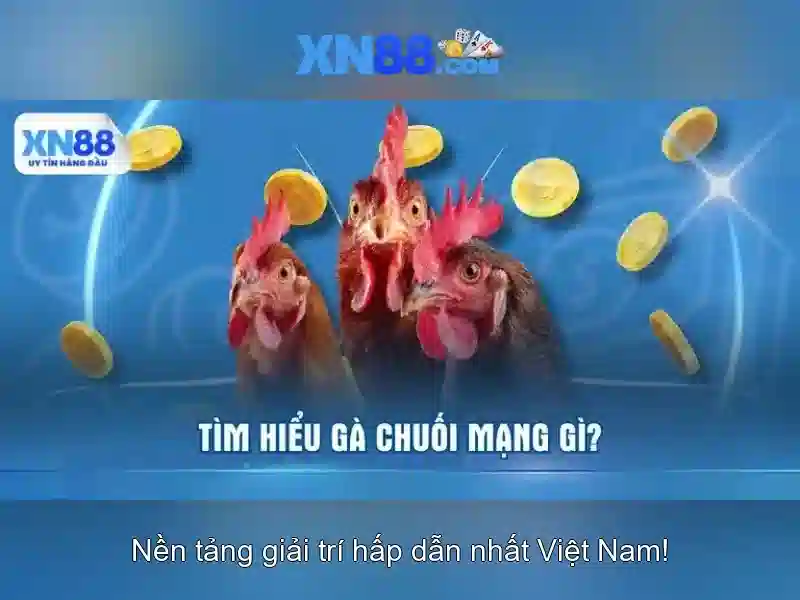 Giới thiệu về xn88