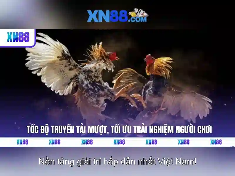 https://xn88app.it.com/images/text/xn88/xn88-text2603311938.webp An toàn và bảo mật