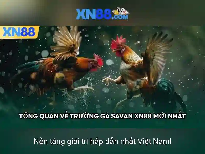 https://xn88app.it.com/images/text/xn88/xn88-text2603301019.webp An toàn và bảo mật cho người chơi