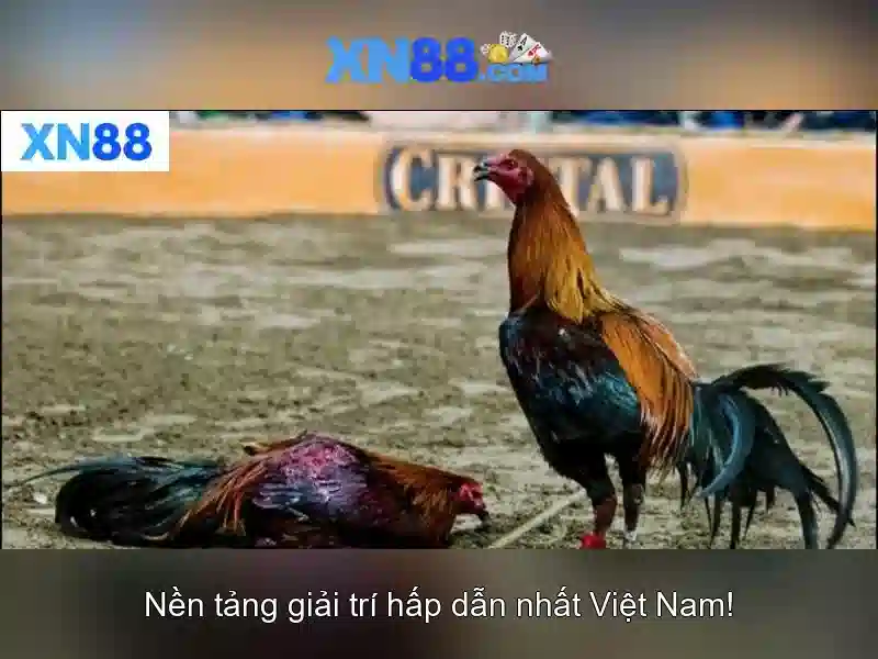 https://xn88app.it.com/images/text/xn88/xn88-text2603313876.webp Trải nghiệm người dùng