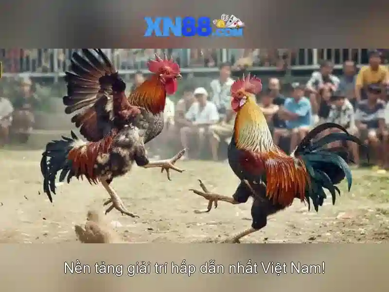 https://xn88app.it.com/images/text/xn88/xn88-text2603121072.webp Danh mục trò chơi