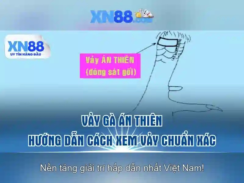 Sản phẩm và dịch vụ của XN88\n