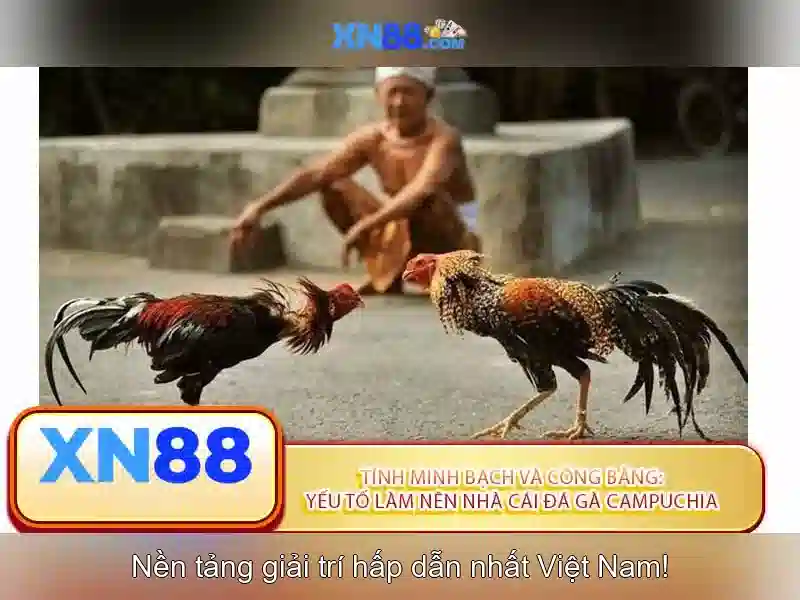 XN88 – Nền tảng trò chơi trực tuyến nổi bật