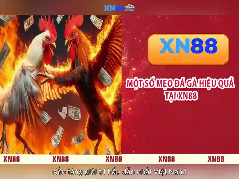 Giao diện nhà cái hoàn hảo