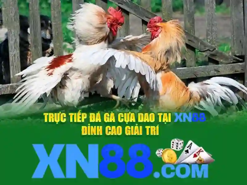 xn88 là gì - Tổng quan thương hiệu và trải nghiệm người chơi